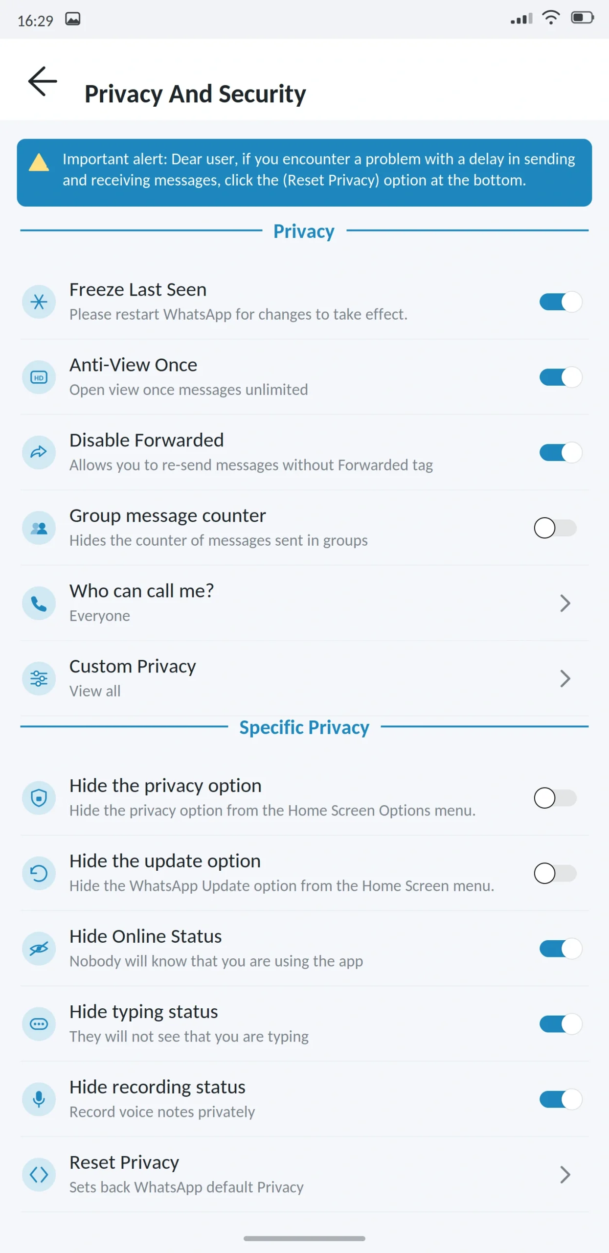 Blue WhatsApp Privacy and Security