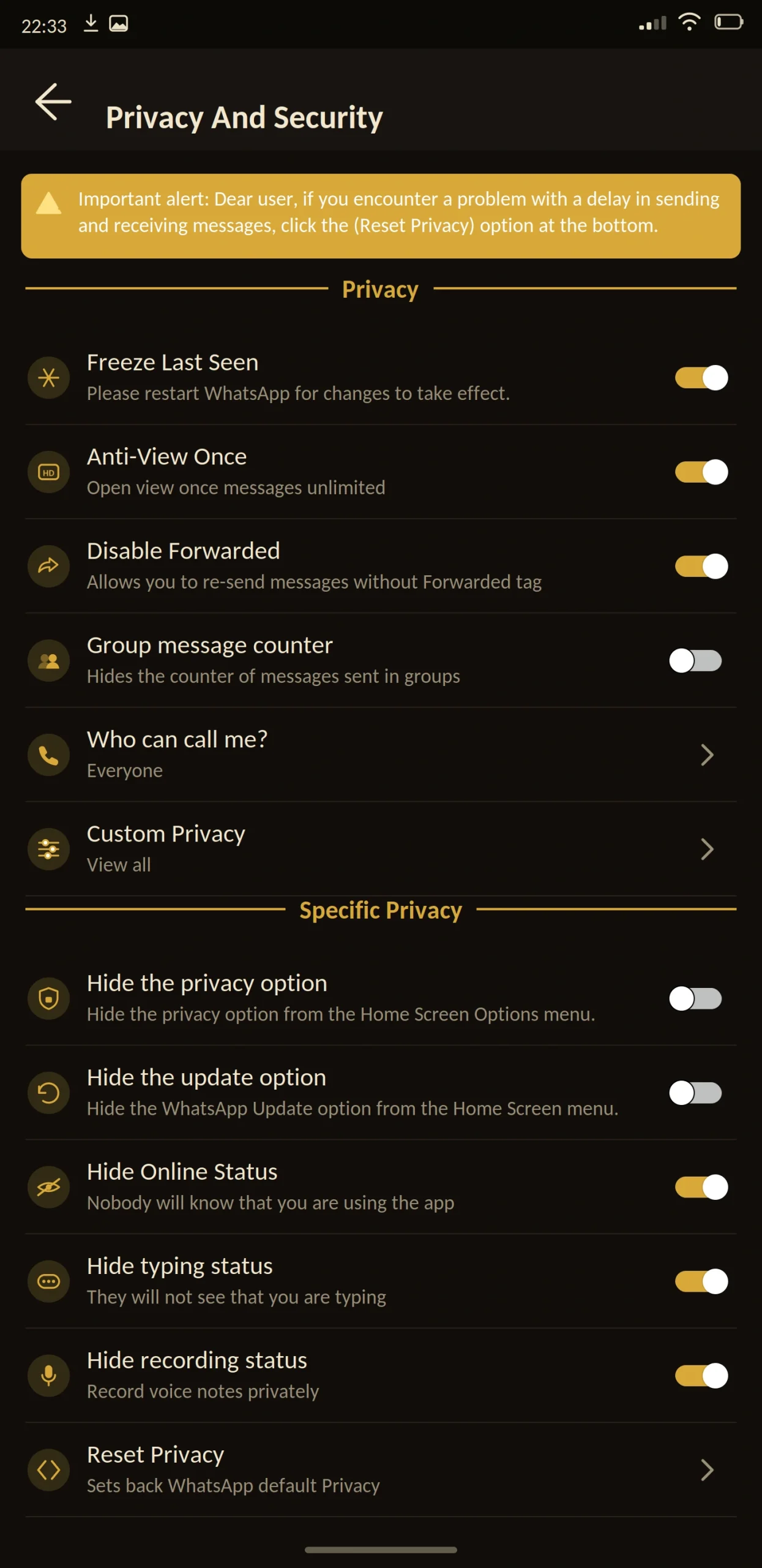 King WhatsApp Privacy and Security