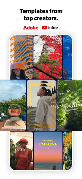 Adobe Premium Screenshot 2