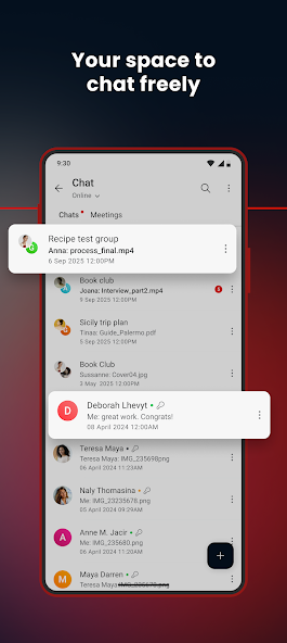 MEGA APK Chat Features