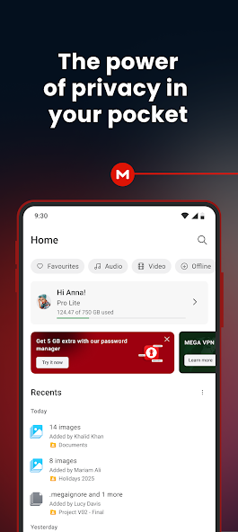 MEGA APK Pocket Privacy