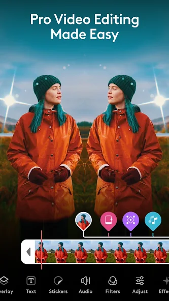 videoleap pro